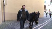 Fiera dell'Olio