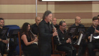 Banda MSGC