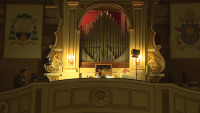 Organi