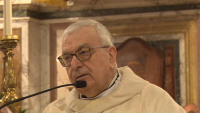 Vicario
