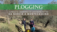 plogging